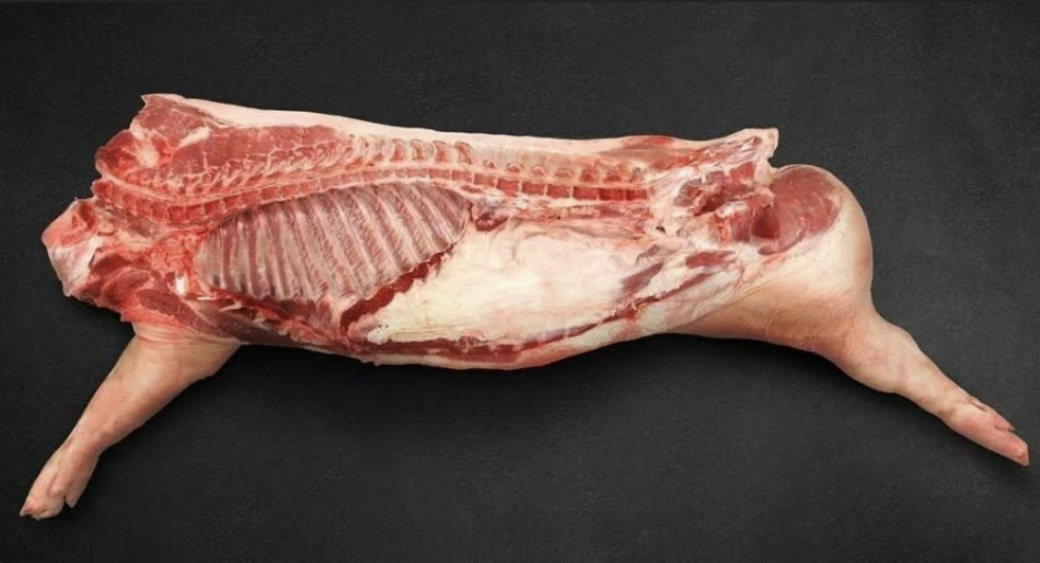  экрана 2026-02-06 в 01.10.28.png